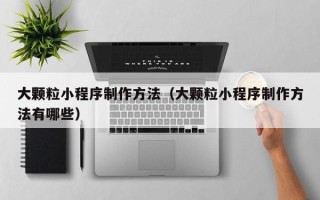 上饶大颗粒小程序制作方法（大颗粒小程序制作方法有哪些）